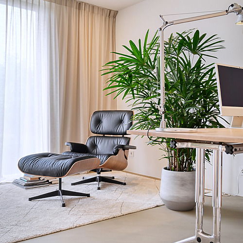 Gietvloer werkkamer - Amersfoort